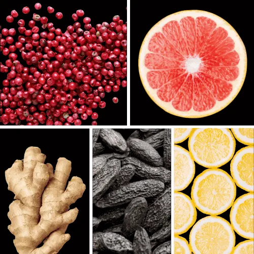 Duftnoten: rosa Pfeffer, Grapefruit, Ingwer, Tonkabohne, Zitrone