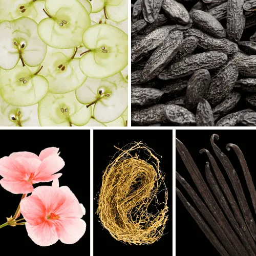 Duftnoten; grüner Apfel ,Tonkabohne, Rosengeranie, Vetiver, Vanille