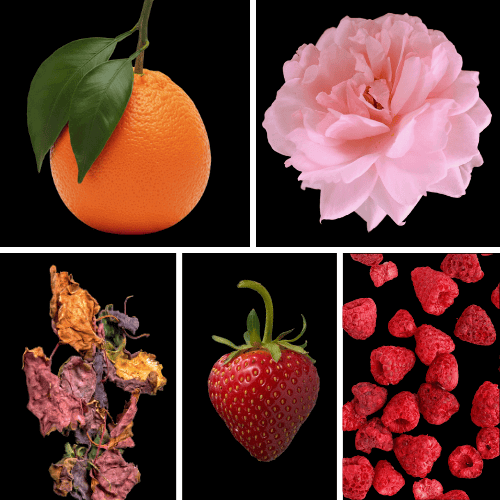 Preview: Duftnoten: Mandarine, Rose, Patchouli, Erdbeere, Himbeere