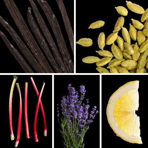 Duftnoten: Vanille, Kardamom, Rhabarber, Lavendel, Zitrone Duftnoten: Vanille, Kardamom, Rhabarber, Lavendel, Zitrone