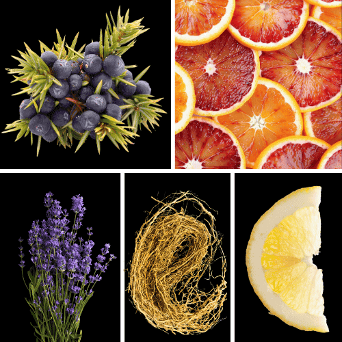 Preview: Duftnoten: Wacholderbeeren, Blutorange, Lavendel, Vetiver, sizilianischer Zitrone