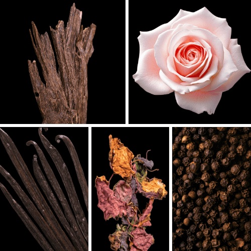 Preview: Duftnoten: Oud, Rose, Vanille, Patchouli, Pfeffer