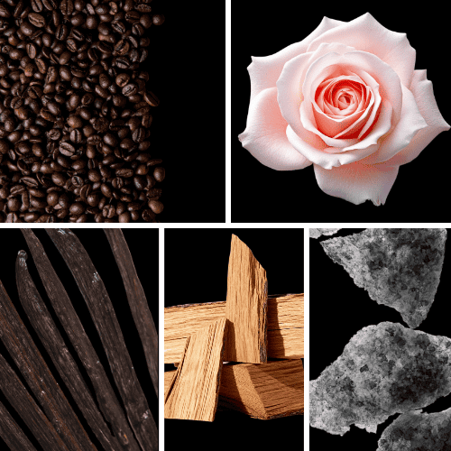 Preview: Duftnoten: Kaffee, Rose, Vanille, Zedernholz,  weißer Moschus