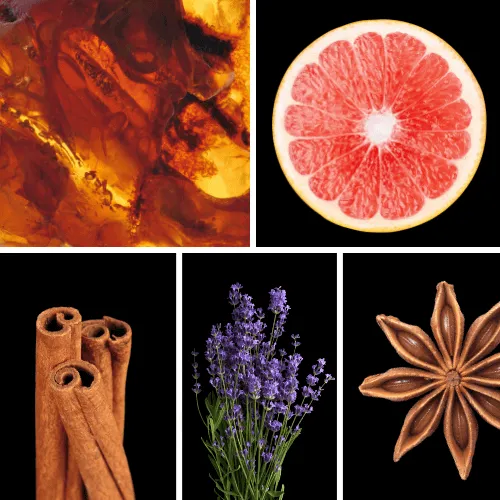 Duftnoten: Amber, Grapefruit, Zimt, Lavendel, Sternanis Duftnoten: Amber, Grapefruit, Zimt, Lavendel, Sternanis