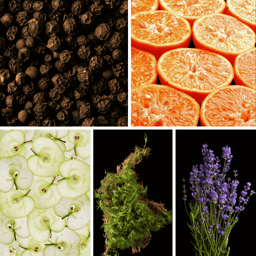 Preview: Profumo D'oro # 164 Mango Teak Vetiver Preview: Duftnoten: schwarzer Pfeffer, Mandarine, Apfel, Moos, Lavendel