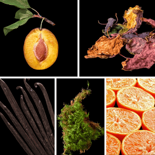 Preview: Duftnoten: Pflaume, Patchouli, Vanille, Moos, Mandarine