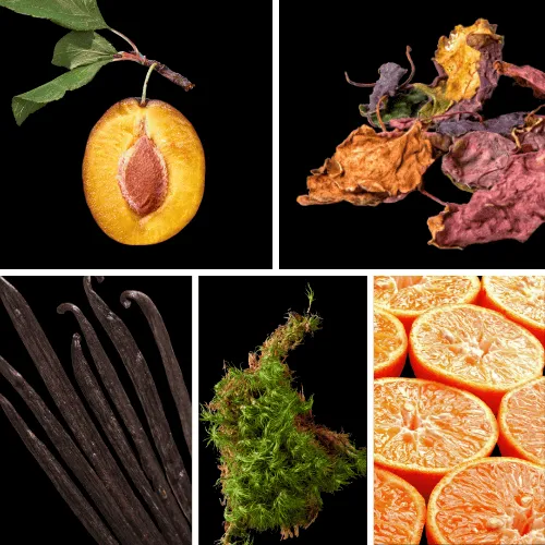 Duftnoten: Pflaume, Patchouli, Vanille, Moos, Mandarine