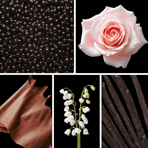 Preview: Duftnoten: schwarze Johannisbeere, Rose, Leder, Maiglöckchen, Vanille