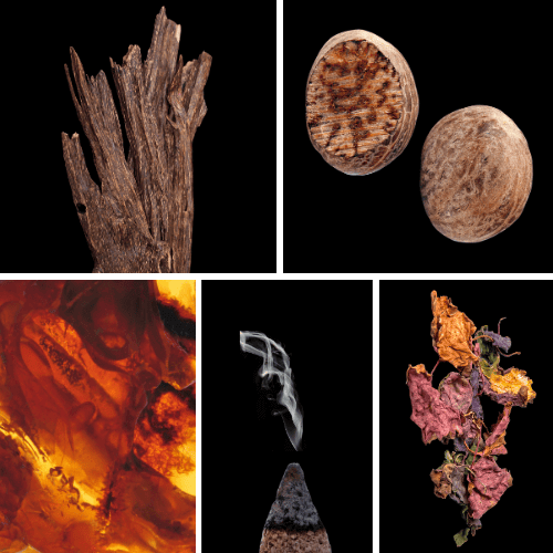 Preview: Duftnoten: Oud, Muskatnuss, Amber, Weihrauch, Patchouli