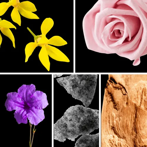 Duftnoten: Yang-Ylang, Rose, Veilchenblatt, Moschus, holzige Noten Duftnoten: Yang-Ylang, Rose, Veilchenblatt, Moschus, holzige Noten