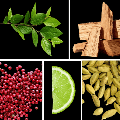 Preview: Duftnoten: grüne Blätter, Zedernholz, rosa Pfeffer, Limette, Kardamom