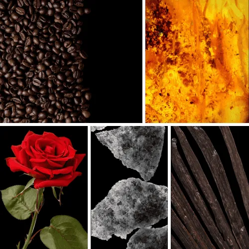 Duftnoten: Kaffee, Ambra, Rose, Moschus, Vanille