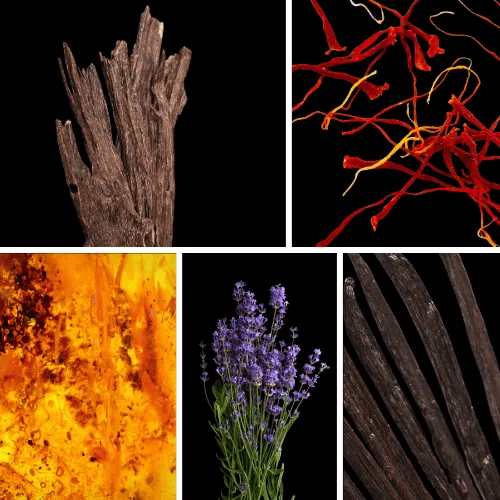 Duftnoten: Oud, Safran, Amber, Lavendel, Vanille