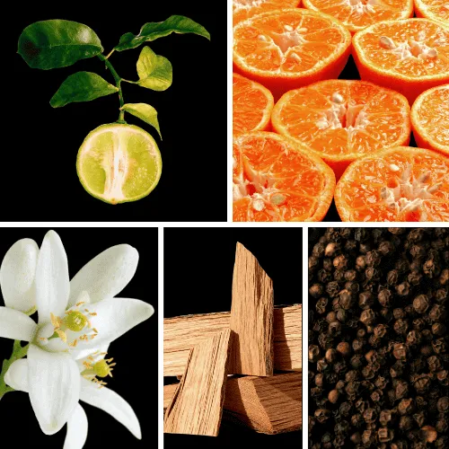 Duftnoten:Bergamotte, Mandarine, Neroli, Zedernholz, Pfeffer Duftnoten:Bergamotte, Mandarine, Neroli, Zedernholz, Pfeffer