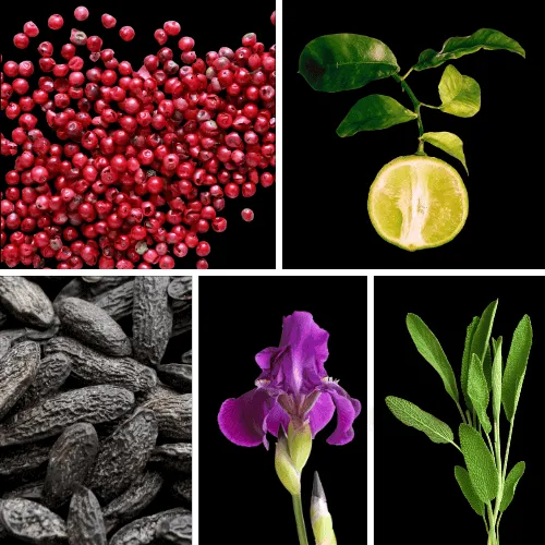 Duftnoten: rosa Pfeffer, Bergamotte, Tonkabohne, Iris, Salbei