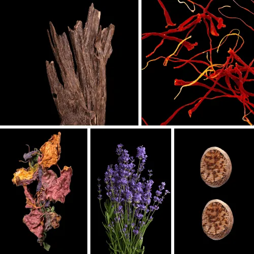 Duftnoten: Oud, Safran, Patschuli, Lavendel, Muskat