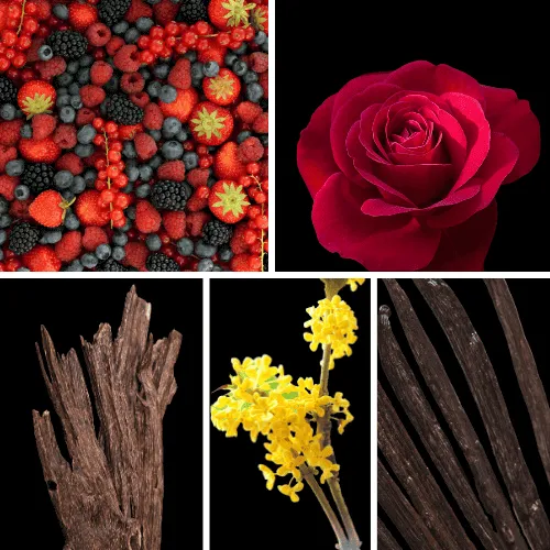 Duftnoten: rote Beeren, Rose, Oud, Osmanthus, Vanille Duftnoten: rote Beeren, Rose, Oud, Osmanthus, Vanille