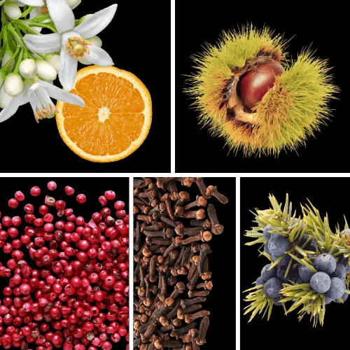 Duftnoten: Orangenblüte, Kastanie, rosa Pfeffer, Nelke, Wacholder