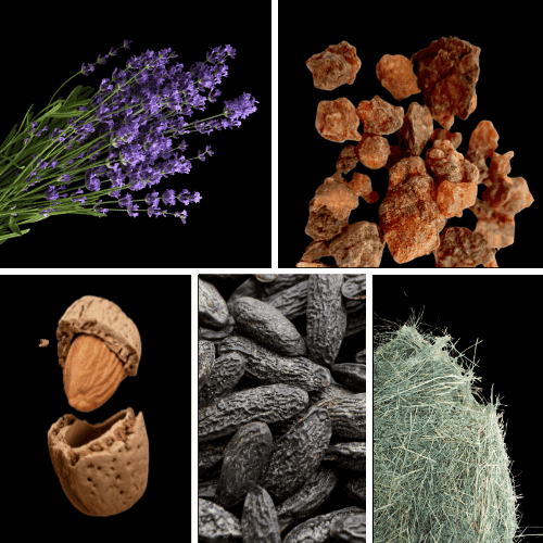 Preview: Duftnoten: Lavendel, Myrrhe, Mandel, Tonkabohne, Heu