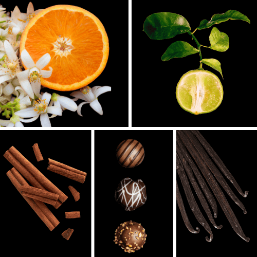 Preview: Profumo D'oro # 221 Orangenblüte Vanille Ambrox Preview: Duftnoten: Orangenblüte, Bergamotte, Zimt, Praline, Vanille