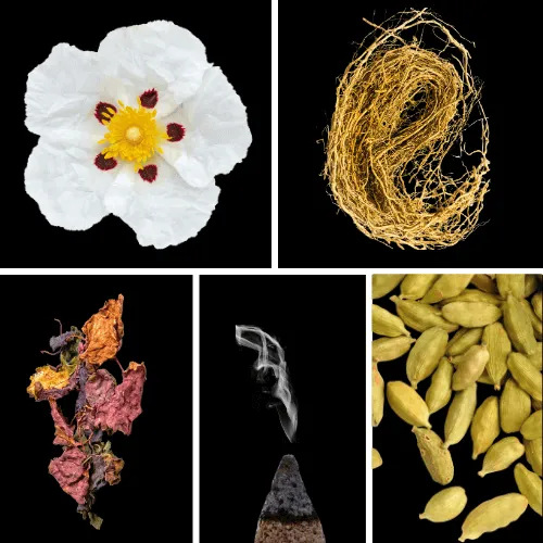 Duftnoten: Labdanum, Vetiver, Patchouli, Weihrauch, Kardamom