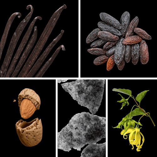 Preview: Duftnoten: Vanille, Tonkabohne, Bittermandel, Moschus, Yang-Ylang