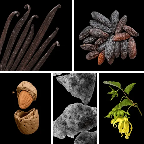 Duftnoten: Vanille, Tonkabohne, Bittermandel, Moschus, Yang-Ylang