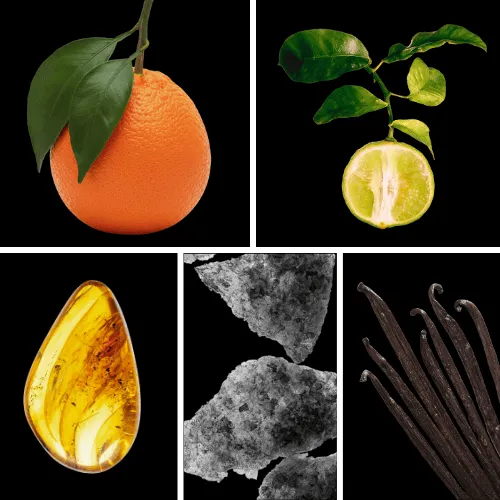 Duftnoten: Orange, Bergamotte, Amber, Moschus, Vanille
