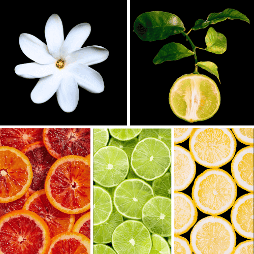 Preview: Duftnoten: Bergamotte, Limette, Zitrone, Blutorange, Tiareblüte,