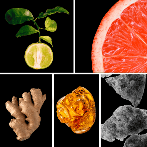 Preview: Duftnoten: Bergamotte, Grapefruit, Ingwer, Amber, Moschus