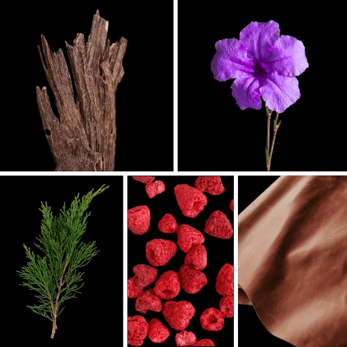 Duftnoten: Oud, Veilchen, Zypresse, Himbeere, Ledernote