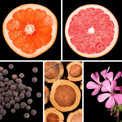 Duftnoten: Bitterorange, Blutorange, Pfeffer, Sandelholz, Geranium Duftnoten: Bitterorange, Blutorange, Pfeffer, Sandelholz, Geranium