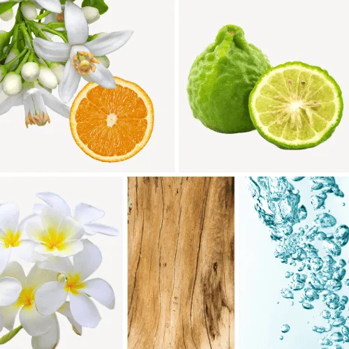 Duftnoten: Orangenblüte, Bergamotte, Jasmin, Sandelholz, Aldehyde