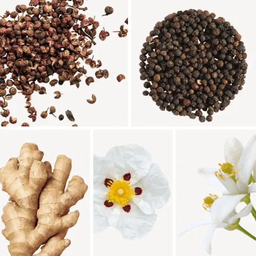 Duftnoten: Szechuanpfeffer, schwarzer Pfeffer, Ingwer, Labdanum, Neroli Duftnoten: Szechuanpfeffer, schwarzer Pfeffer, Ingwer, Labdanum, Neroli
