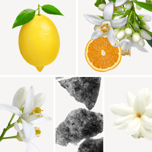 Duftnoten: Zitrone, Orangenblüte, Neroli, Moschus, Jasmin