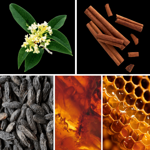 Preview: Duftnoten: Osmanthus, Zimt, Tonkabohne, Amber, Honig