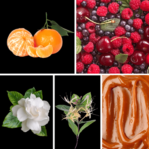 Preview: Duftnoten des Profumo D’oro Damen-Parfums mit Mandarine, wilden Beeren, Gardenie, Jasmin, Geißblatt, Vanille, Karamell, Amber und Sandelholz