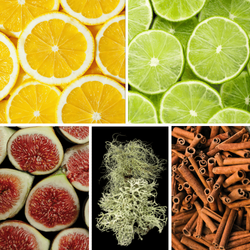 Preview: Duftnoten des Profumo D’oro Unisex-Parfums mit Zitrone, Bergamotte, Limette, Rose, Feige, Jasmin, Ylang-Ylang, Oud, Safran, Zimt, Patchouli, Sandelholz, Benzoe, Ambra und Moschus