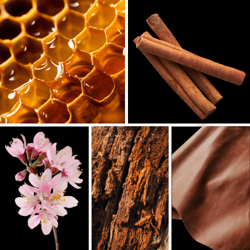 Preview: Duftnoten des Profumo D’oro Unisex-Parfums mit Honig, Zimt, Patchouli, Blütennoten, Oud, Amber, Leder, Vanille und weißem Moschus