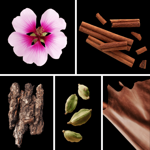 Preview: Duftnoten des Profumo D’oro Unisex-Parfums mit Kardamom, Geranie, rosa Pfeffer, Patchouli, Zimt, Rose, Leder, Oud und Amber