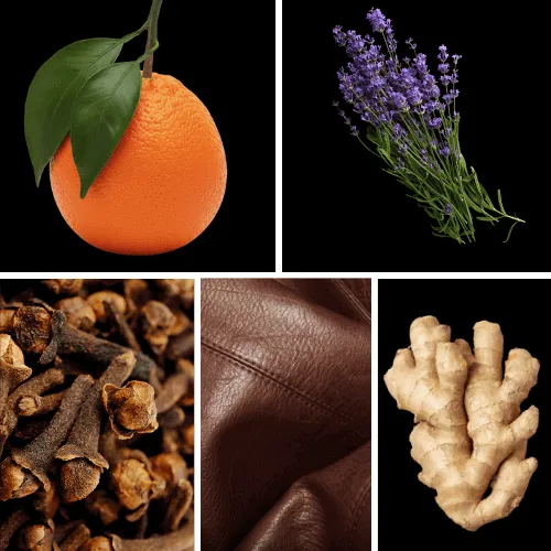 Duftnoten: Mandarine, Lavendel, Nelke, Leder, Ingwer