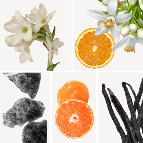 Preview: Duftnoten: Tuberose, Orangenblüten, Moschus, Mandarine, Vanille