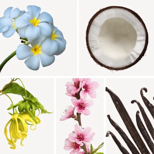 Duftnoten: Tiaréblüte, Kokos, Ylang-Ylang, Pfirsichblüte, Vanille