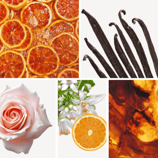 Duftnoten: kandierte Zitrusfrüchte, Vanille, Rose, Orangenblüte, Ambra