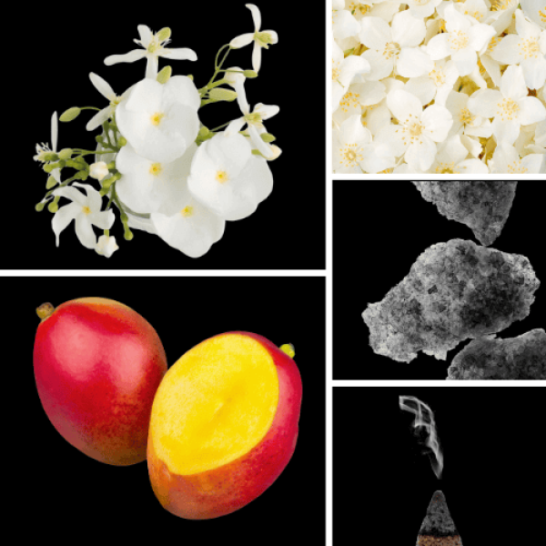 Duftnoten: Mango, Jasmin, Moschus, Gardenie, Weihrauch
