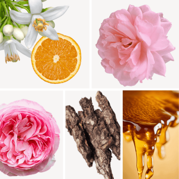 Duftnoten:bulgarische Rose, Orangenblüte, Rose, Oud, Honig