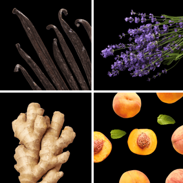 Duftnoten: Vanille, Lavendel, Ingwer, Pfirsich