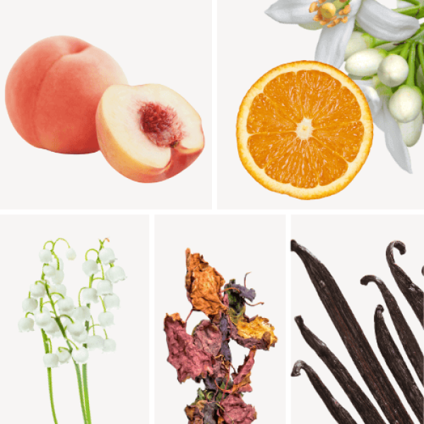 Duftnoten: weißer Pfirsich, Orangenblüten, Maiglöckchen, Patschuli, Vanille