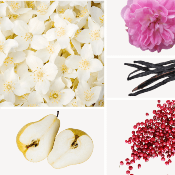 Duftnoten: Jasmin, Mairose, Birne, rosa Pfeffer, Vanille