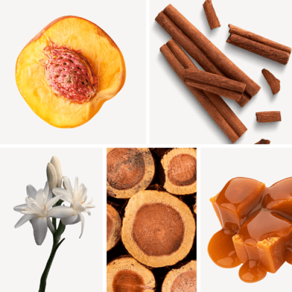 Duftnoten: Pfirsich, Zimt, Tuberose, Zedernholz, Karamell